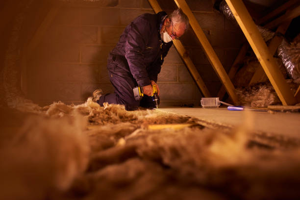 Trusted Bellflower, CA Insulation Services Experts